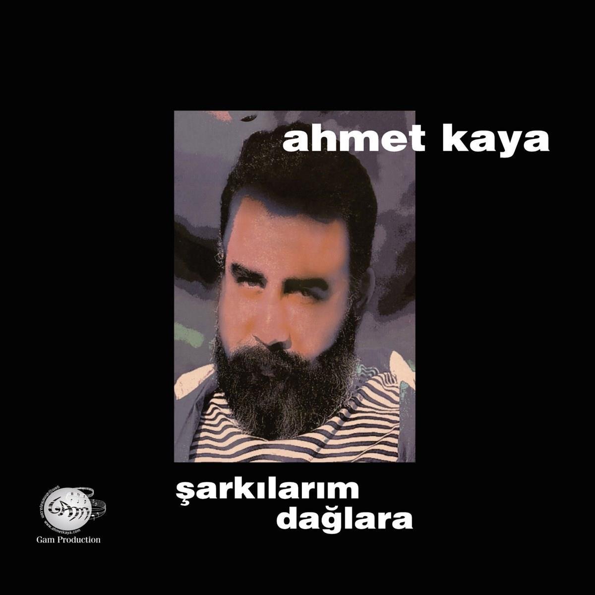 Ahmet Kaya - Şarkılarım Dağlara (Plak)