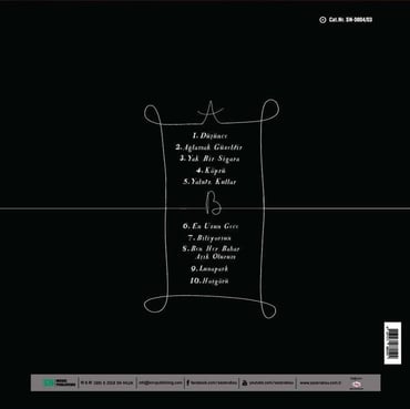 Sezen Aksu - Ağlamak Güzeldir (Plak)
