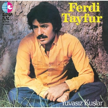 Ferdi Tayfur - Yuvasız Kuşlar (Plak)
