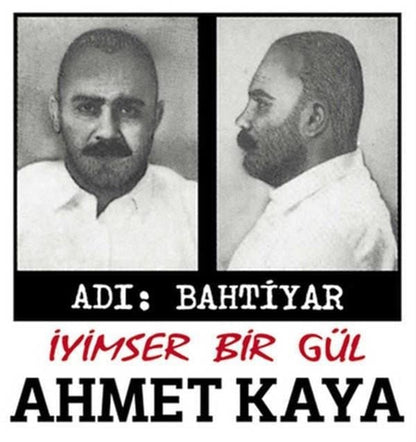 Ahmet Kaya - Adı Bahtiyar - İyimser Bir Gül (Plak)