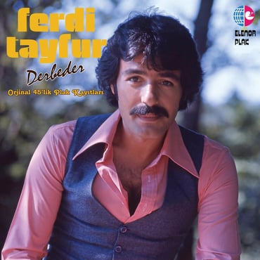 Ferdi Tayfur - Derbeder (poster)
