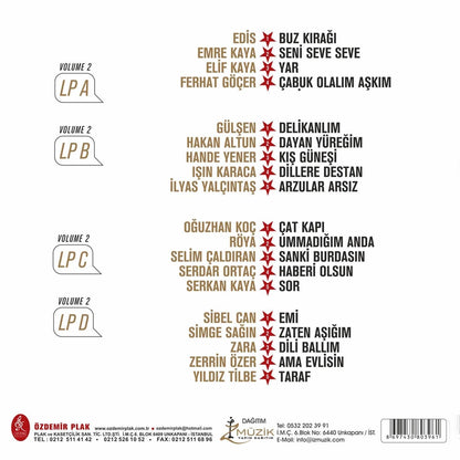 Yıldız Tilbe'nin Yıldızlı Şarkıları / Volume 2 (2 LPs)